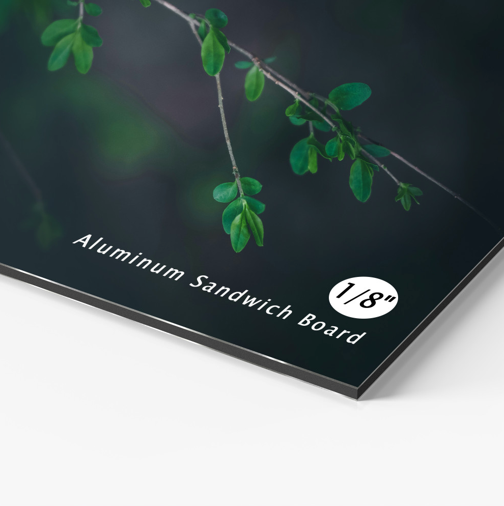 Rigid Signs and Magnets